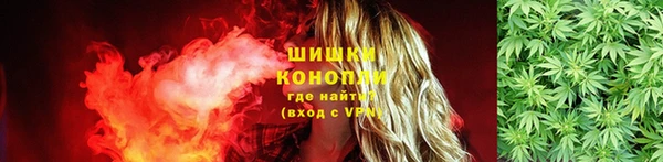 стаф Абаза