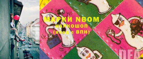 сатива Осинники