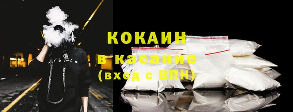 сатива Осинники
