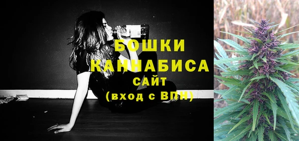 сатива Осинники